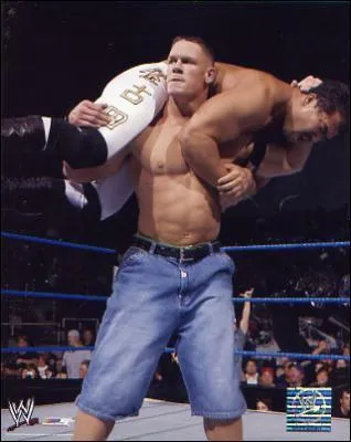 Comment s 'appelle cette prise de finition qu' excute john cena ?