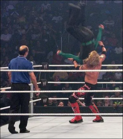 Comment s 'appelle cette prise de finition qu' excute jeff hardy ?