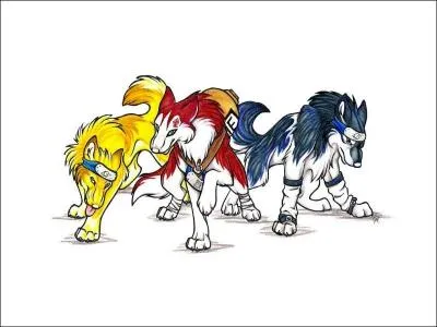Ces trois loups reprsentent 3 personnages de mangas. Lequels ?