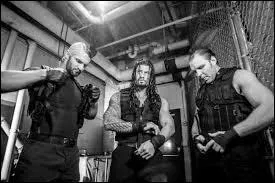 Lors de Wrestlemania 29, qui affrontrent The Shield ?