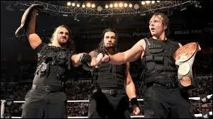 A  Extreme Rules  2013, qui furent battus par Roman Reigns et Seth Rollins pour le gain des titres par quipe de la WWE ?