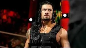 Intressons-nous maintenant  chaque membre de The Shield. D'o proviennent les origines de Roman Reigns ?