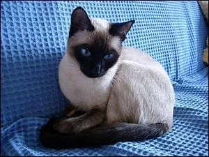 Quelle est celle-ci ?