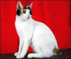 Connaissez-vous celle-ci ?