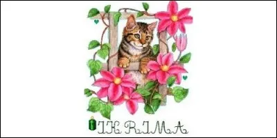 Quelle est la signification du prénom Ikrima, d'origine arabe ?