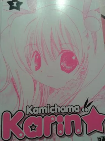 De quelle couleur sont les yeux de Karin ?