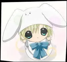 Comment s'appelle le fils de Karin et Kazune (dans le futur) ?