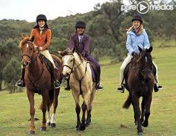 Quiz Chevaux