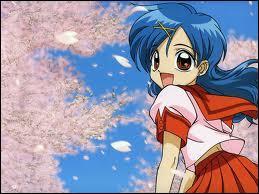 Quiz Mermaid melody