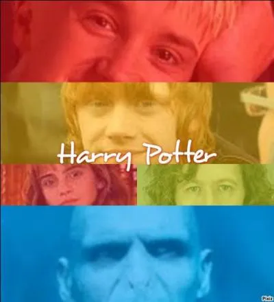 Qui sont les meilleurs amis de Harry ?