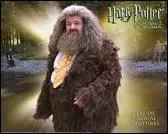 Qui est Rubeus Hagrid ?