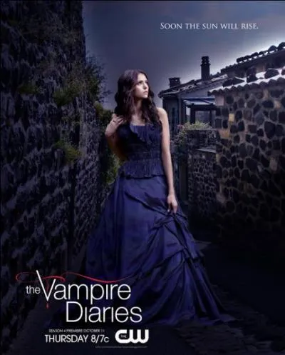 Combien de fois Damon fait-il perdre la mmoire  Elena ?