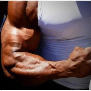 Que se passe-t-il avec le bras de Harry, en deuxime anne, aprs un match de Quidditch lgendaire ?