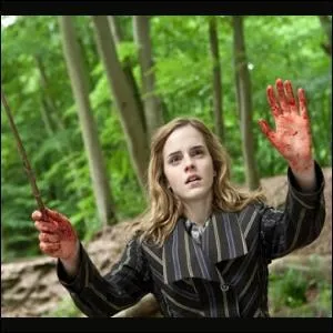 Pourquoi un des chapitres s'intitule  La main secourable d'Hermione  ?