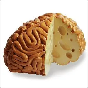 Comment Ron parvient-il  se coller un cerveau sur lui ?