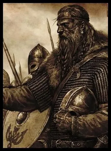 Que sont les Vikings ?