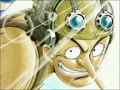 Comment s'appelaient les camarades d'Usopp ?