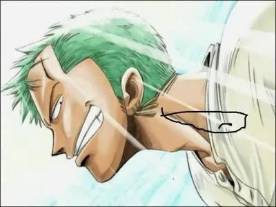 Quel est le rve de Roronoa Zoro ?