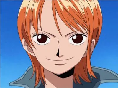Quelle est la couleur des cheveux de Nami ?