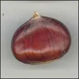 Comment s'appelle ce fruit?