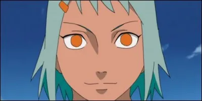 De quel village caché Fû, dernière jinchûriki de Nanabi, vient-elle ?