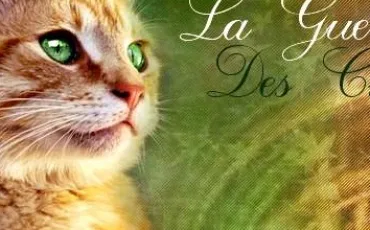 Quiz Guerre