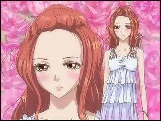 Quel va etre le futur metier de Risa Koizumi ??