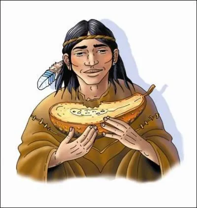 Quelles taient les trois principales plantes cultives par les amrindiens du Canada ?