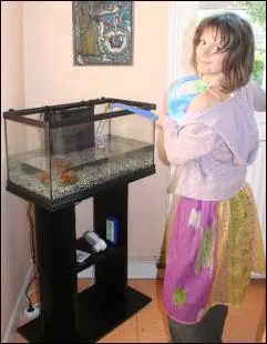 Comment remplir votre aquarium ?