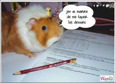  Jacques, as-tu termin les devoirs ?   Pourquoi le prnom est-il mis en apostrophe ?