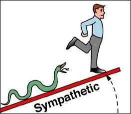 Quelles sont les fonctions de notre organisme qui ne peuvent agir simultanment ?