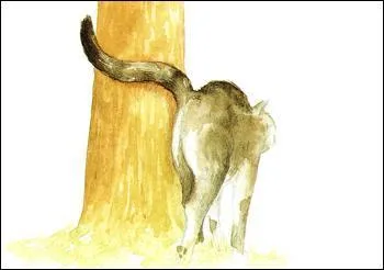 Il se frotte aux meubles.