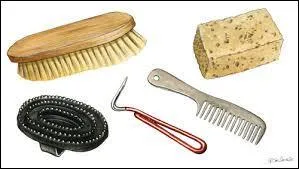 Quel est l'ordre de brossage ?