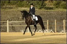 De quel ct faut-il monter ?