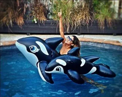 Dans la saison 1, qui a ''tent'' de noyer Emily dans la piscine ?