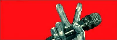 Quelle est cette mission ?