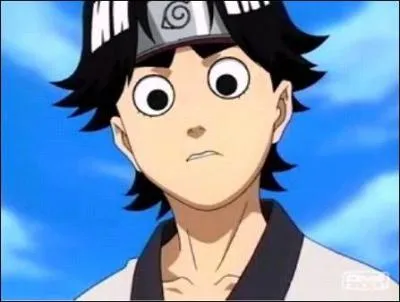 Qui est ce gars  la coupe ringard?