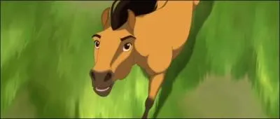 Et ce petit cheval ?