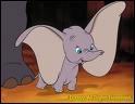Comment s'appelle cet éléphant?