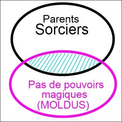 Regardez l'image et dites-moi comment pourrais-je appeler les personnes qui se retrouvent dans la partie hachure :