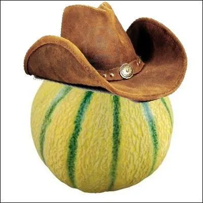 Dchiffrez ce rbus et vous trouverez la rponse :