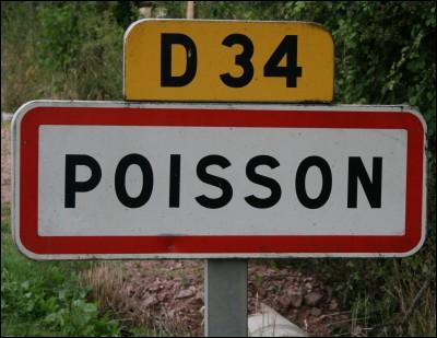 Avec quelle autre commune de France Poisson est-elle jumelée ?
