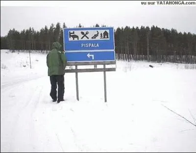 En quelle anne la Finlande a-t-elle adhr  l'Union europenne ?