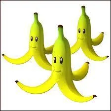 Quel est cet objet ?