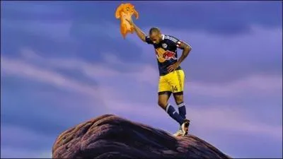 Vous avez reconnu une fameuse scne parodie du  Roi Lion . Normalement, sans Henry, le mandrill nomm ... porte ... .