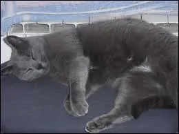 Pourquoi ce plan choue-t-il ?