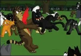 Pourquoi Flau tue Etoile du Tigre ?