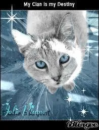 Qui d'autre est appel ?