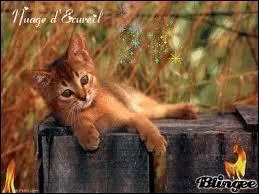 Comment s'appellent leurs 2 filles ?