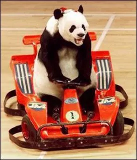 Un transport non polluant pour les pandas ? C'est une organisation non gouvernementale cologique ayant un panda pour emblme :